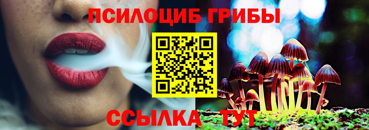 Псилоцибиновые грибы мухоморы Саянск